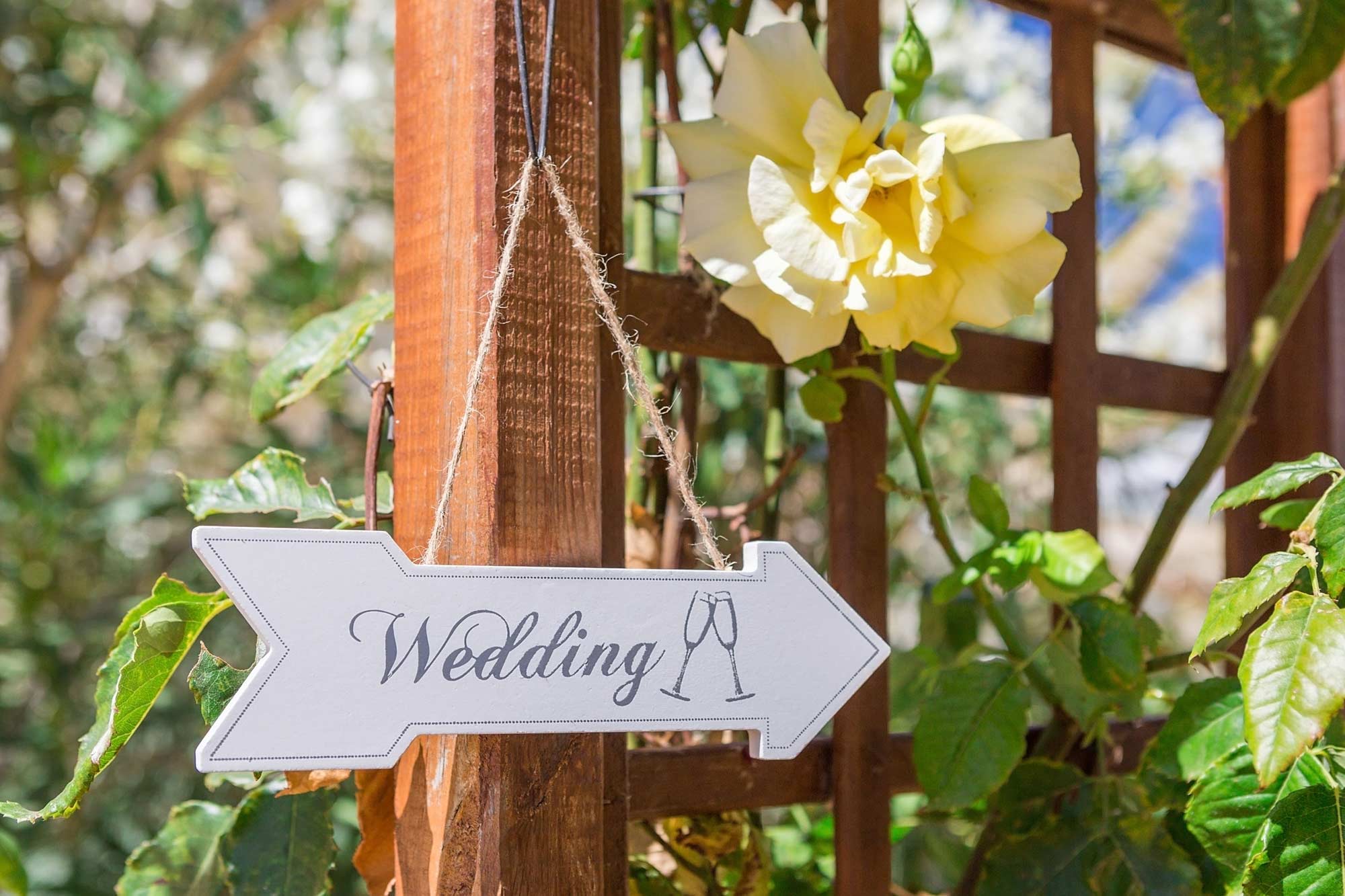 Humanist Weddings