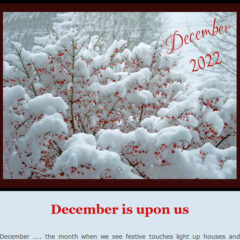 Humanist Canada Newsletter - 2022-December